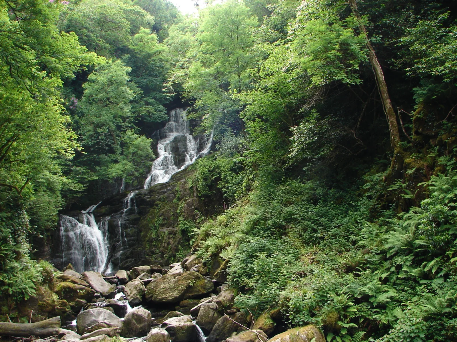 Torc Waterfall in Killarney National Park